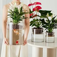 D 9.8" X H 11.8" Clear