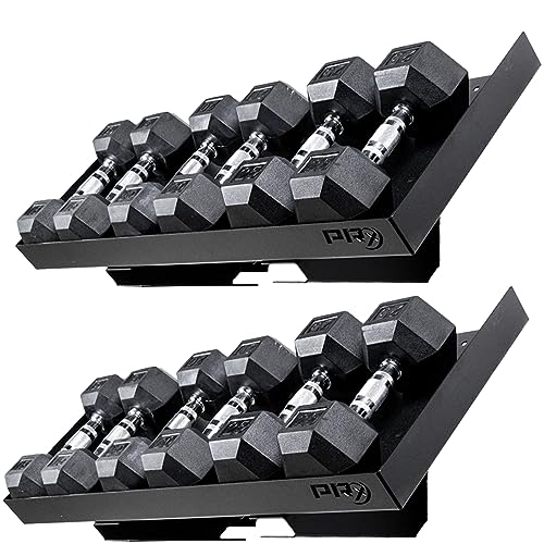 Dumbbell Storage Shelf, Wall Mounted Weight Rack for Home Gym, 1,000lb Weight Capacity, Patent Pending Bundle to Save (2 Shelves)