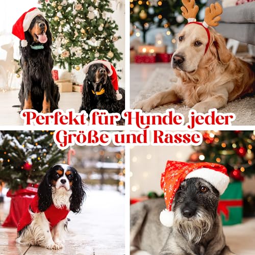 Nur Dieses Weihnachten - 8 Verschiedene Echte Fleischsorten im Hunde Adventskalender – Glutenfrei & Weizenfrei – Exklusive Auswahl: Rind, Ente, Huhn, Fisch