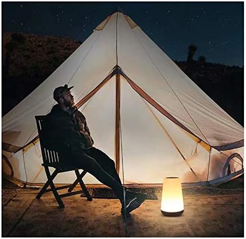 Table Lamp Touch Night Light - Portable Sensor Remote Control Bedside Lamps with Quick Rechargeable USB Dimmable Warm White Light 13 Colors RGB Table Lamp for Bedroom Living Room Office (black wood)