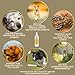Multi Vitamin B Komplex Hund 100 ml – Hochdosierte Vitamine für Hunde mit Vitamin A D3 E B1 B2 B6 B12 C Folsäure Zink Selen – Vitalität für Welpen & Senior – Immunsystem stärken Hund Vitamin Liquid