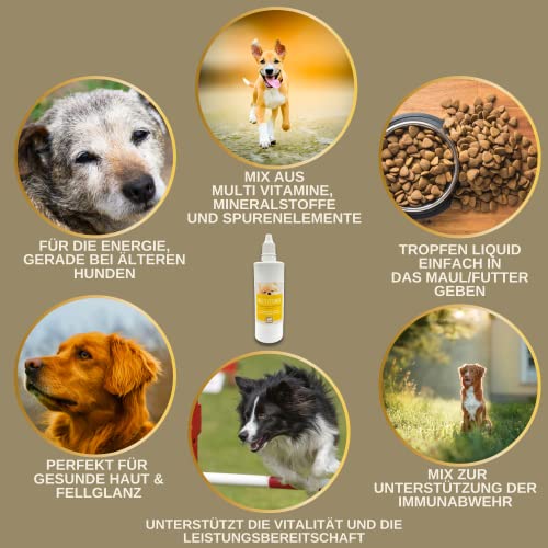 Multi Vitamin B Komplex Hund 100 ml – Hochdosierte Vitamine für Hunde mit Vitamin A D3 E B1 B2 B6 B12 C Folsäure Zink Selen – Vitalität für Welpen & Senior – Immunsystem stärken Hund Vitamin Liquid