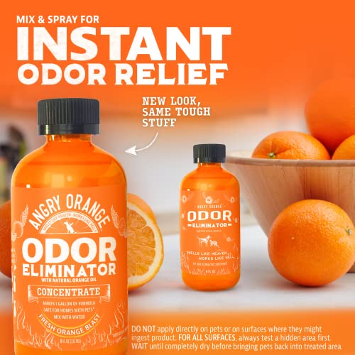 College Dorm Room Essentials: ANGRY ORANGE Bathroom Spray and Pet Odor Eliminator - 2 Pack