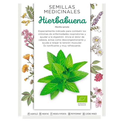 Semillas Medicinales - Hierbabuena - Semillas listas para plantar.