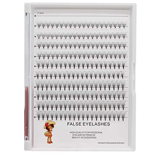 Dedila Large Tray mixed 12-14-16mm Natural Individual False Eyelashes Soft and Light Volume Premade Fans Eye Lashes Extensions Makeup Cluster Lashes Tools (mixed 12-14-16mm)