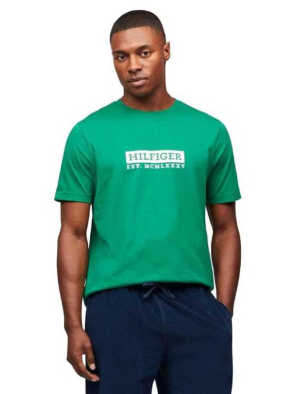 Tommy Hilfiger Men's Colour to Colour Hilfiger Logo Tee, Nouveau Green XX-Large by Tommy Hilfiger - Used condition - US$30.88