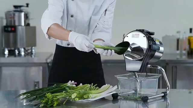 Cortadora eléctrica de verduras HaiZethonic 110W miniatura 7