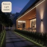 Zoom IMG-2 jandei striscia led 12v 5 Zoom IMG-2 jandei striscia led 12v 5