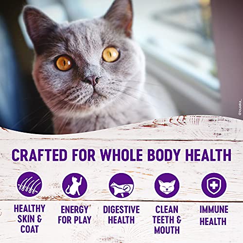 Wellness 9211 Natural Pet Food Complete Health Grain-Free Indoor Deboned Chicken Recipe Dry Cat Food thumb #3