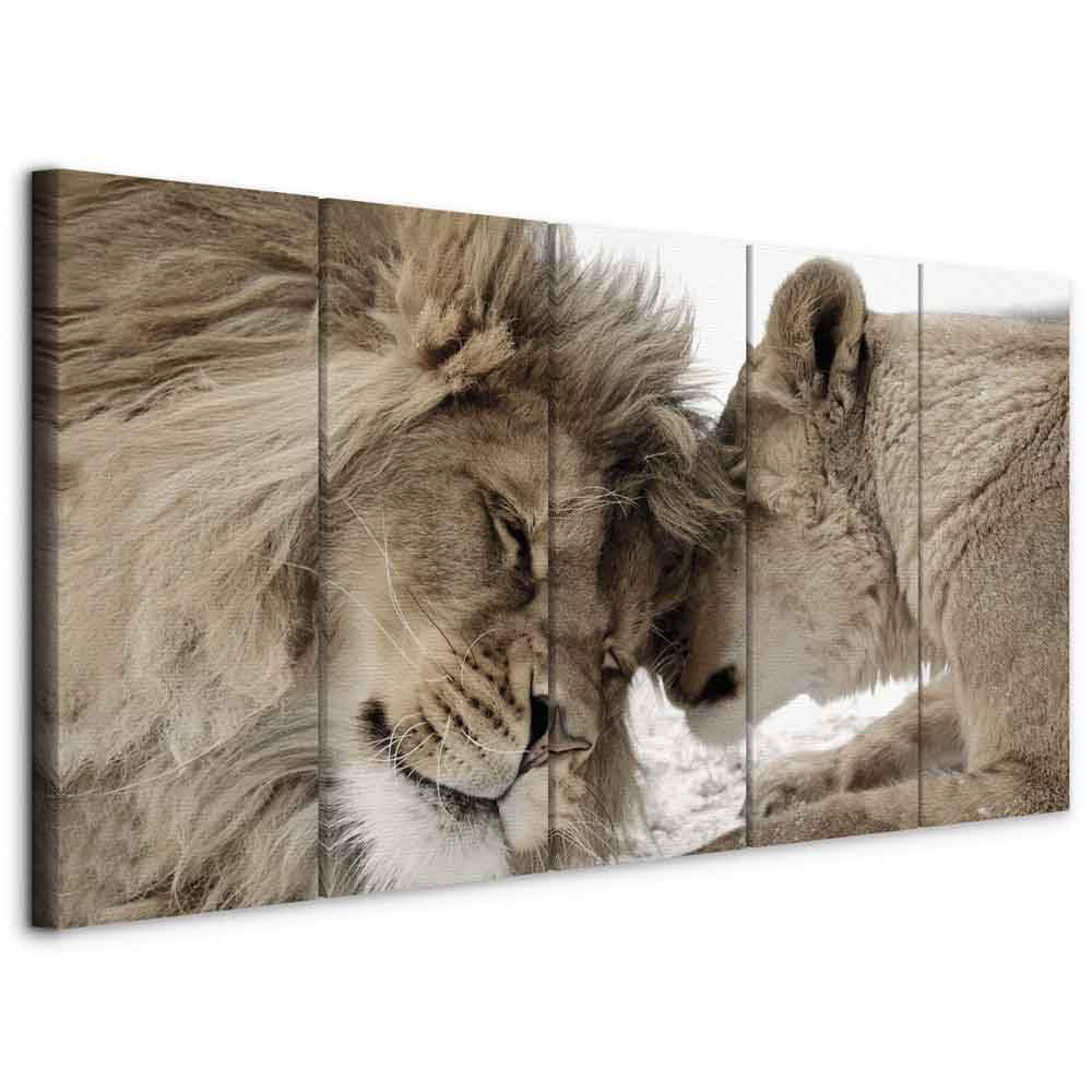 murando - Cuadro en Lienzo León 5 piezas - Impresión en material tejido no tejido cuadros decoracion salon modernos lienzos decorativos dormitorios - Naturaleza Animal Paisaje