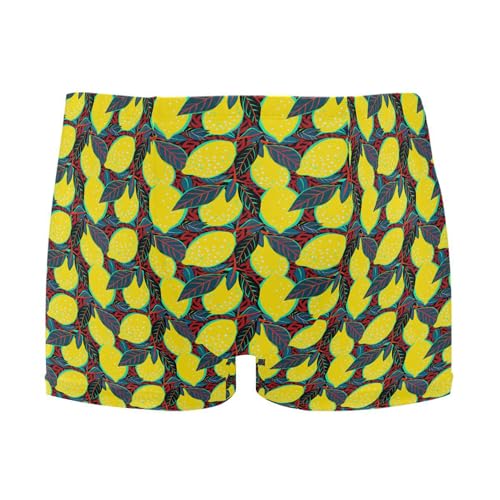 Lemon Fruit Summer Mens Swim Trunk Swimwear Bathing Suit Swim Brief Square Leg Board Short S B0405082