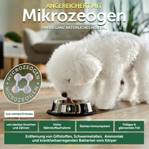 Nature's Protection Superior Care Hundefutter Trocken Getreidefrei für Alle Kleine & Mini-Rassen - Hypoallergenes Hundefutter mit Weißfisch, Trockenfutter für Erwachsene Hunde, 10kg