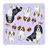 (アーンジョー)Enjeau キャバリア ファミリー ハンカチ タオルハンカチ 日本製 シェニール織 23cm 綿100% EjPetit ギフト対応可