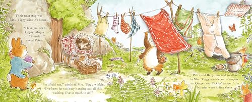 Peter Rabbit: The Easter Bunny Hunt: A Lift-the-Flap Storybook (Explore with Peter Rabbit)