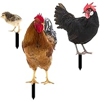 VICASKY Hühner Deko Huhn Gartendeko Gartenstecker Aus Acryl 1Satz Gartenhuhn Pfahl Lebensechte Und Hahn Für Außenbereich Dekoration Garten Thematische Partys