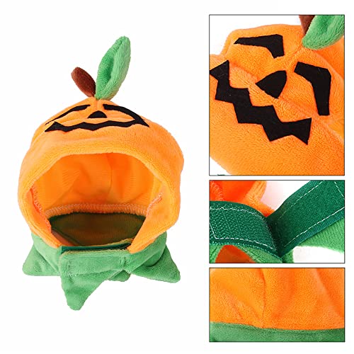 Sombrero de Halloween para gatos y perros pequeños miniatura 5
