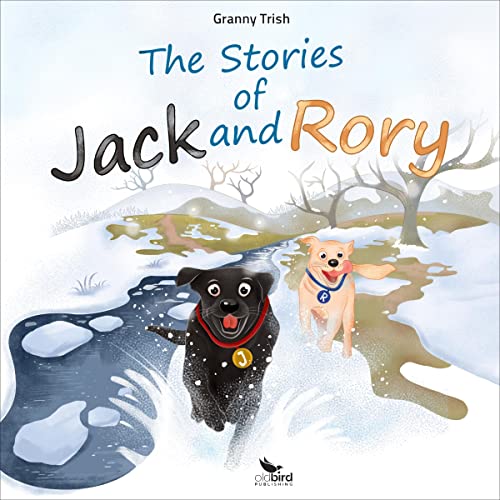 Ignite The Most Riveting Full Audiobook Today!