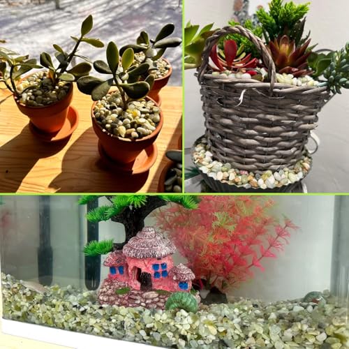 Image of 45lb Jade Bean Stone,1 /4 Inch Bonsai DIY Rocks, Natural Succulent Rock and River Rocks Decorative for Aquariums, Vases, Terrarium, Outdoor Gardening, Top Dressing for Potted Plants