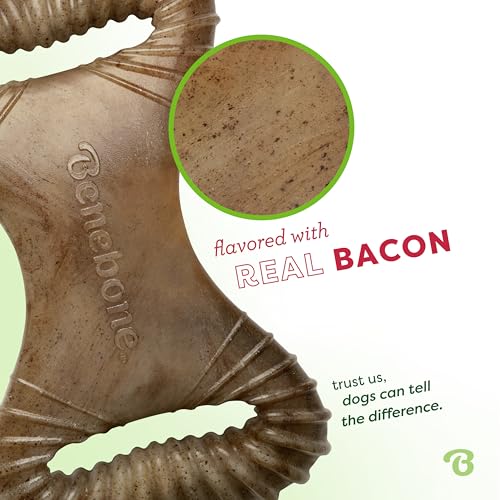 Image of Benebone Dental Durable Dog Chew Toy for Aggressive Chewers, Real Bacon, Made in USA, Small