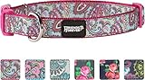 Friends Forever Double Layer Print Paisley Pattern Dog Collar, Pink Medium 14-20