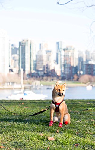 Rc Pet Products Step In Cirque Soft Walking Dog Harness, X-Large, Red #TOP2