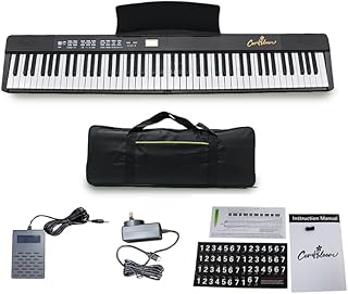 88-Key Portable Folding Electronic Keyboard, Digital Piano,Foldable Piano, 128 Timbres, 128 Rhythms, 80 Demo Songs, 64 Pol...