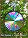 Rainbow Symphony - Rainbow Window Suncatcher – Prism Light Catcher for Windows Creates Vibrant Rainbows – 4
