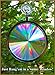 Rainbow Symphony- Rainbow Prism Suncatcher for Window, Axicon Pattern, with Bonus Board Sun Catcher, Made in USA