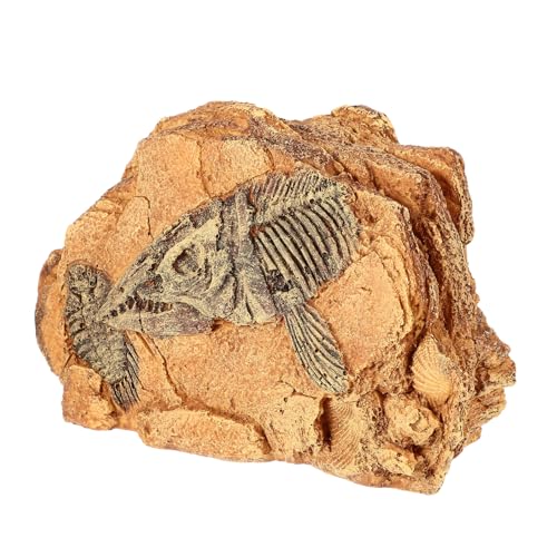 DECOMELODY ঒ރVF^[ B VR 萫 ^gJQ nX^[Ή eEpۃeEi hϋvfUC