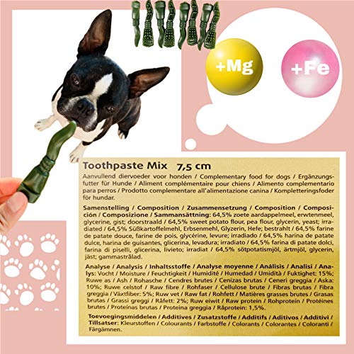Vegetarische Hundesnacks. Zahnpflege Kauartikel für Kleine Mittlere und Große Hunde. Glutenfrei Fettarm. 24 U.