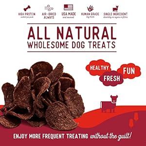 Beg & Barker Beef Chips for Canine (8 Ounce, Pack of 1) – Single Ingredient Canine Treats Made for Massive & Small Canine Protein Human Grade Canine Treats Constituted of Actual Meat Beef, Made in USA