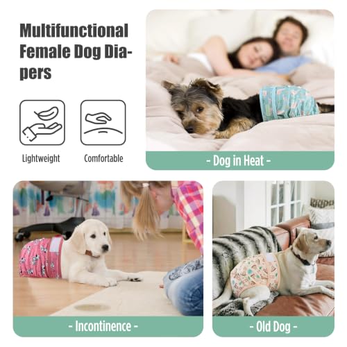 Image of wegreeco Female Dog Diapers, Washable Reusable Pet Puppy Doggie Diapers for Small Medium Large Female Dogs in Heat Period, Doggy Period Panties, 5 Pack, Small, Lively Animals
