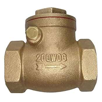 Jane確認用 Amazon.com: Swing Check Valve, Brass, 1-1/4 In., NPT