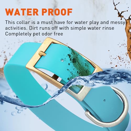 Image of Viper Biothane Heavy Duty Waterproof Dog Collar Strong Coated Nylon Webbing w /Solid Brass Hardware Odor-Proof Easy to Clean High Performance Fits Small Medium or Large Dogs, Sky Blue