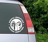 Haften Sie überall, wo Sie möchten, für Autos, LKW, Stoßstangen, Laptops, iPhones, Fenster, Wand und Wasserflaschen. Wenn Sie es auf eine Tasse aufbringen, geben Sie die Tasse nicht in die Spülmaschine oder tauchen Sie sie in Wasser ein. Nur von Hand waschen, aber nicht den Aufkleber schrubben.