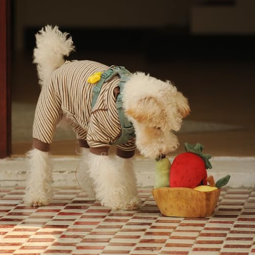 CHEWFFON Quietschende Plüschhundespielzeuge, Hundegeschenke zum Geburtstag für kleine und mittlere Hunde zur Langeweilebekämpfung, 3-stückiges Obst-Hundespielzeug-Satz – Erdbeere, Zitrone, Birne