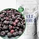 Zingy Zoo Gefriergetrocknete Heidelbeeren