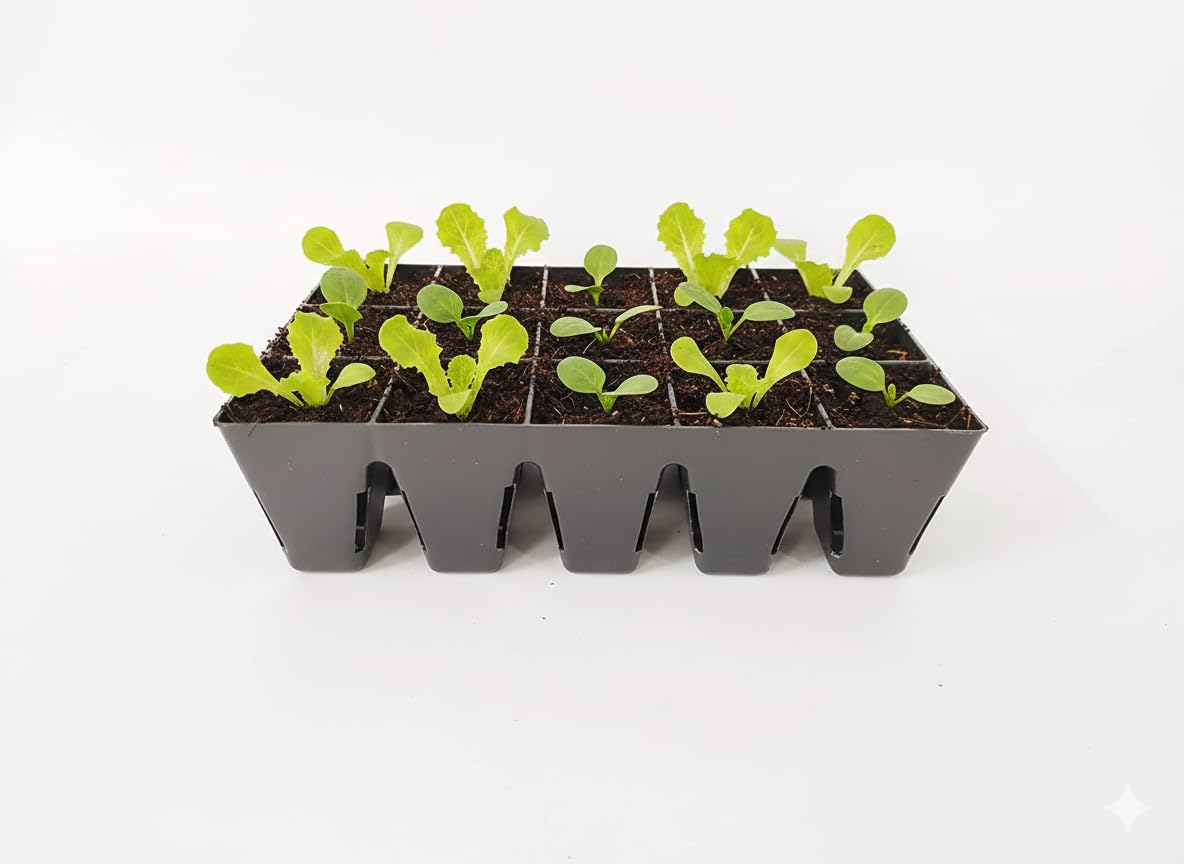 WE Hydroponics Seedling Tray, Germination Tray, Seed Grow Tray, 15 Cells Nursery Tray | Pack of 1 Tray | Reusable, Square, Black-image-15
