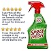Spray 'n Wash Pre-Treat Laundry Stain Remover Refill 60 oz