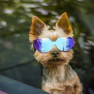 Enjoying Small Dog Sunglasses - Dog Goggles for UV Protection Snow-Proof Windproof Goggles