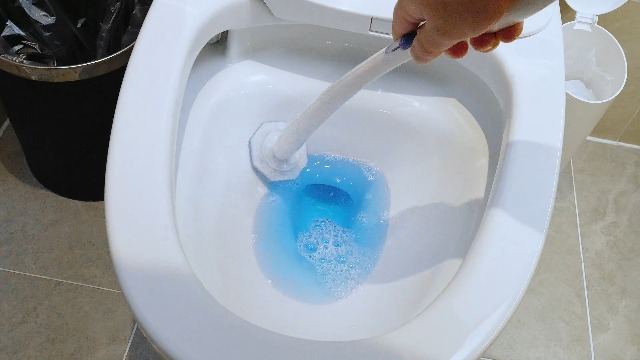 Amazon.com: 80 Toilet Bowl Wand Refills Fits for Clorox Toilet