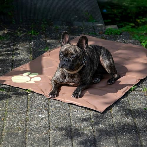 dobar® 60421 Kühlmatte für Hunde - Hundekühlmatte für Hund & Katze - selbstkühlende Matte für Haustiere - Hundedecke mit Kaltgel-Füllung - Kühldecke - 99,5 x 70 cm - Braun