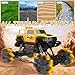 Eulogia 1:12 Remote Control Truck with RGB Wheel Lights, RC Car 4WD All-Terrain, Spray, Music, Spins Spray Music Programming, 12KM/H High-Speed Car Toys for 4-10 Boys Girls