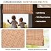 LazBlinds No Tools No Drill Bamboo Roller Shades, Cordless Bamboo Blinds, Light Filtering Roll Up Blinds for Windows, French Door, Porch or Patio, 12'' W x 40'' H, Ceylon Light Russet