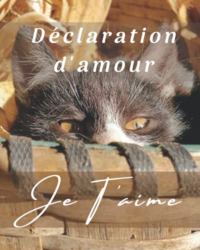 Déclaration d'Amour: AM-030 Déclarez lui votre flamme, votre amour en lui écrivant ce petit livre Déclaration d'Amour: AM-030 Déclarez lui votre flamme, votre amour en lui écrivant ce petit livre