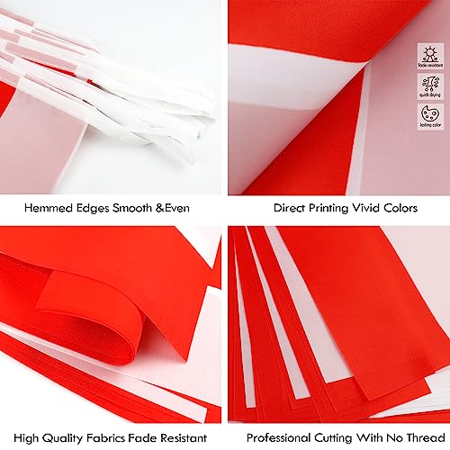 Image of Poland String Flag Pennant Banner - 38 Flags, 42 Feet Small Mini Polish Flags Bunting Banner for Country Decoration, School, Party, Sports Events