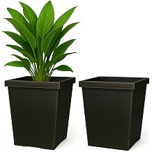 Muddy Hands Pack of 2   43 Litre Large Black Bronze Tall Square Plant Pots   Heavy Duty Plastic Outdoor Garden Planters for Trees, Flowers & Shrubs