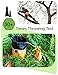 WiseRoot Arborist Throw Line Kit: Ultra Slick Throw Rope & 11/15Oz 900D Throw Weight with Reflective Storage Bag, Arborist Equipment for Tree Work, Climbing, Trimming, High Limb Rigging