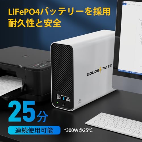 GOLDENMATE 無停電電源装置 UPS 1000VA Pro/600W の商品画像 3