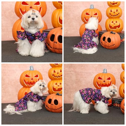 Image of CuteBone Frilly Dog Dress Princess Puppy Halloween Dresses with Ruffled Sleeves Cat Clothes Outfit for Small Dogs Girl Pet Apparel